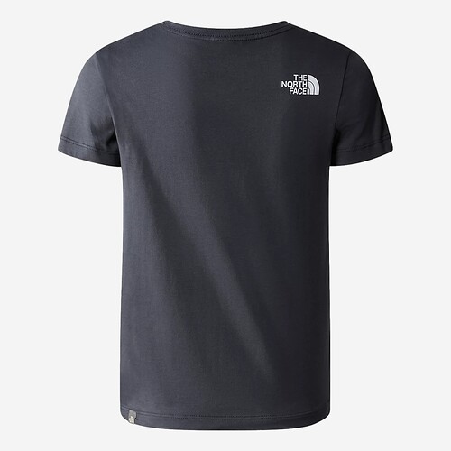 T-SHIRT THE NORTH FACE EASY J  CINZA ESCURO