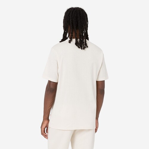T-SHIRT DICKIES STOCKDALE  BEGE