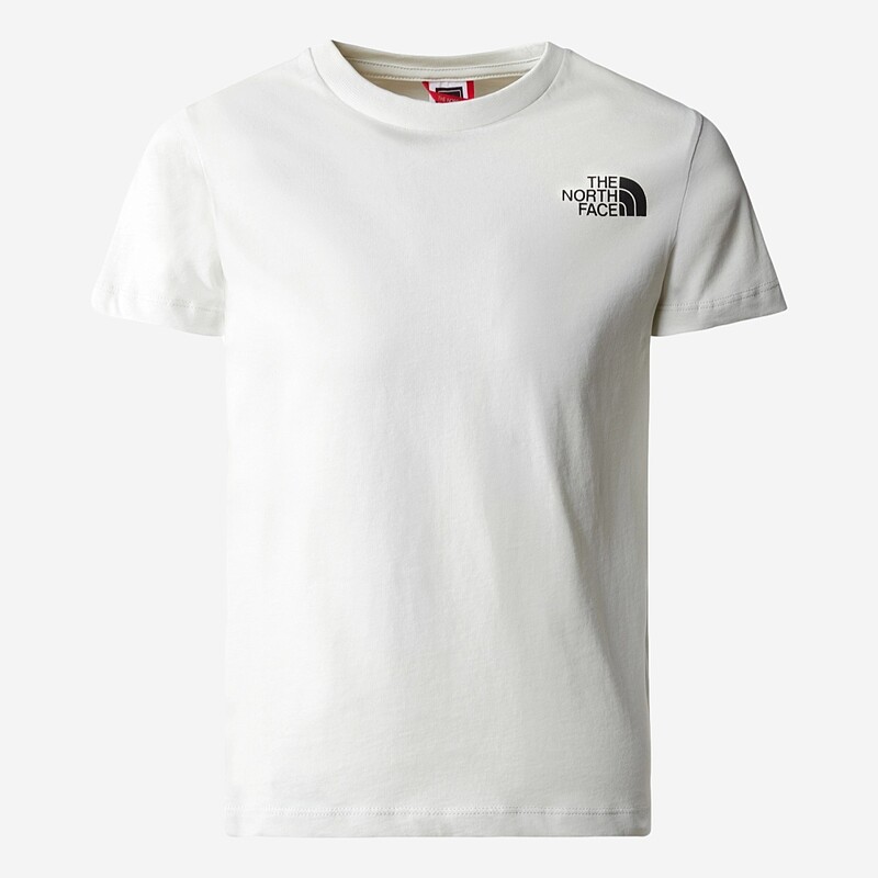 T-SHIRT THE NORTH FACE SIMPLE DOME J CINZA CLARO