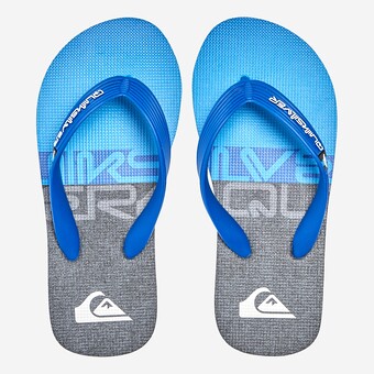 CHINELOS QUIKSILVER MOLOKAI PANEL J AZ/CINZA