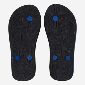 CHINELOS QUIKSILVER MOLOKAI PANEL J AZ/CINZA