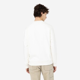 SWEAT DICKIES OAKPORT CREW BEGE