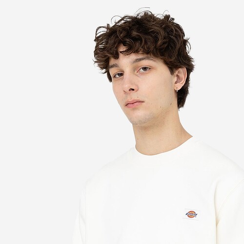 SWEAT DICKIES OAKPORT CREW BEGE