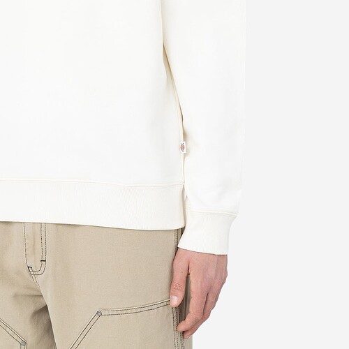 SWEAT DICKIES OAKPORT CREW BEGE