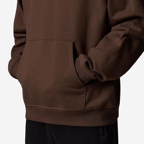 SWEAT THE NORTH FACE ZUMU CASTANHO