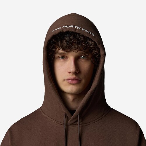 SWEAT THE NORTH FACE ZUMU CASTANHO