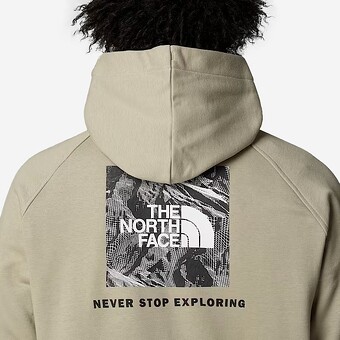 SWEAT THE NORTH FACE RAGLAN VERDE CLARO